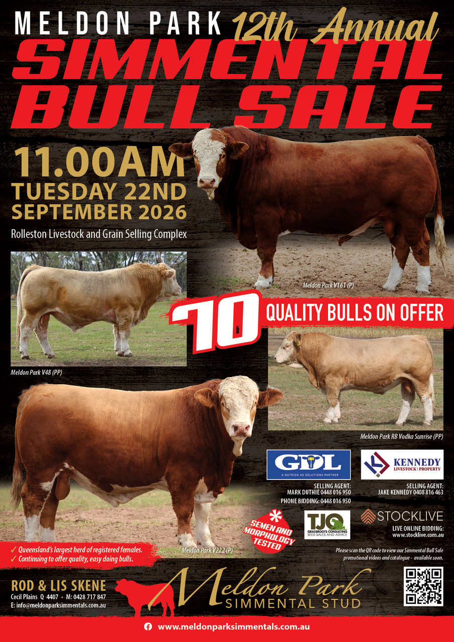 2026 BULL SALE